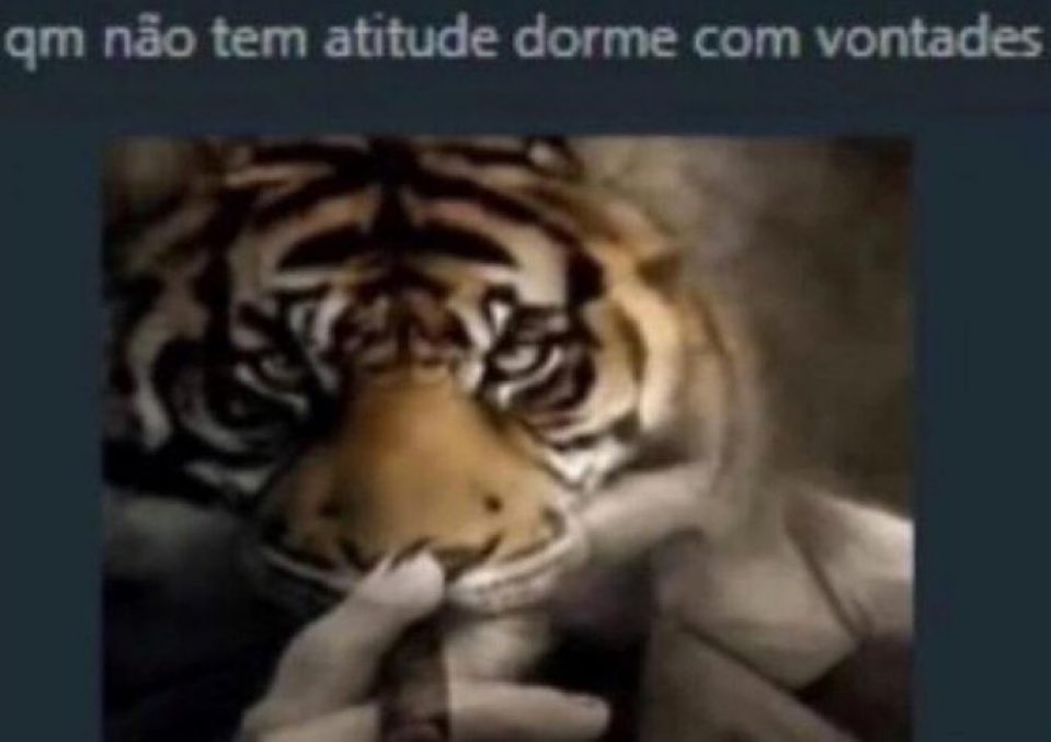 marithekhaleesi's tweet image. queria tá com nojo de farra mas só penso em tomar uma caipirinha saborosa