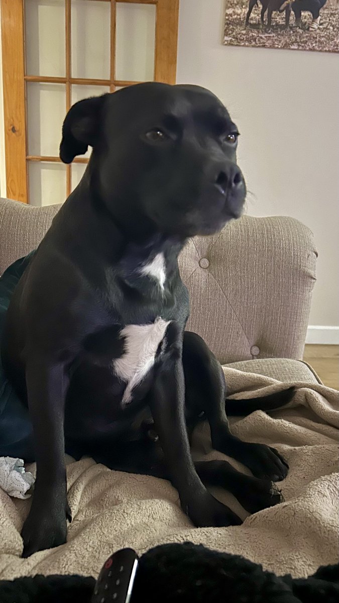 Baby Frank & his teddy, Edward 🧸🏴󠁧󠁢󠁷󠁬󠁳󠁿 tweet media