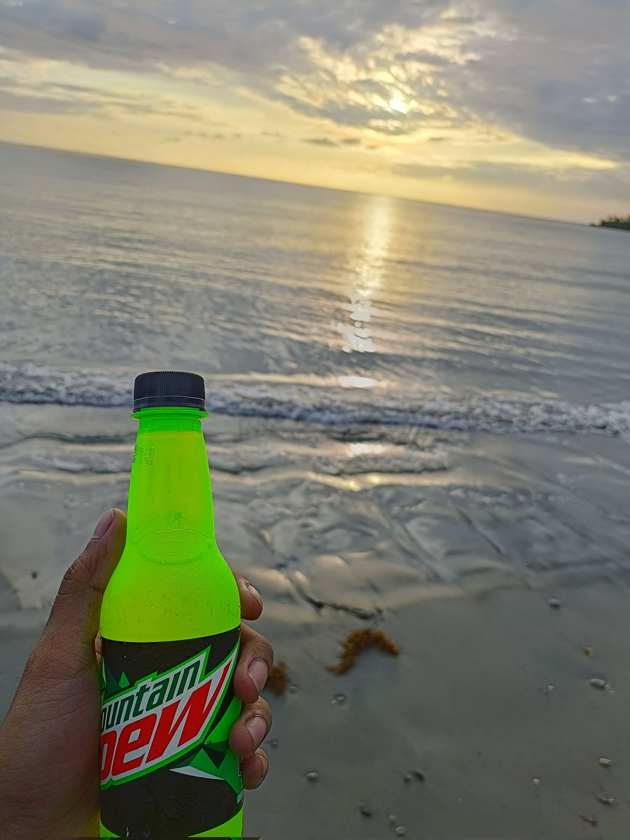 🌊🌊🌊