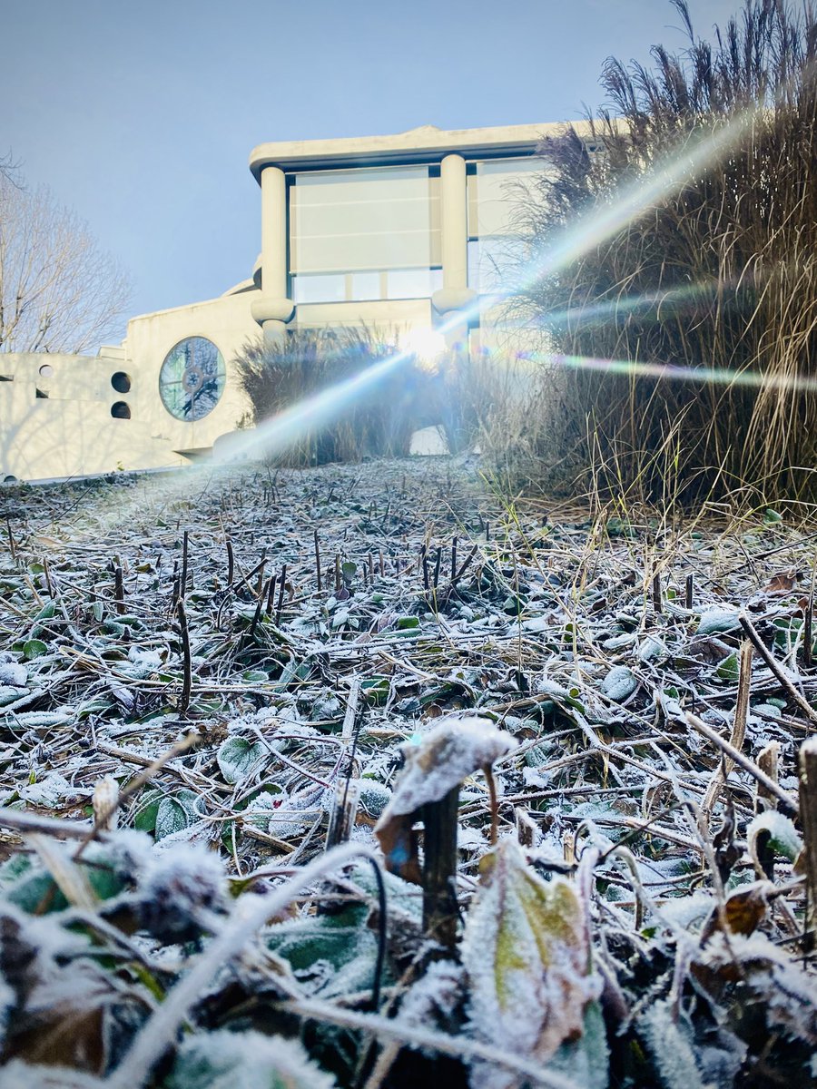 Brina, Inverno e raggi di luce ✨🥶❄️
Inverno a Segrate 
#photoftheday