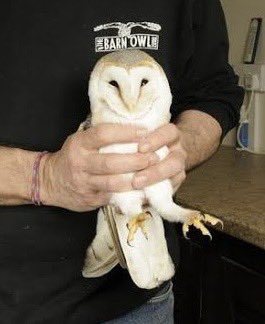 Savos International (@savosandsavos) on Twitter photo 