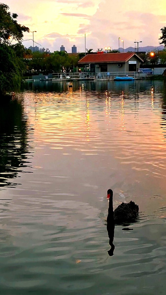 New house, new city, same job We're doing well in this new year.  I hope everyone is doing well.