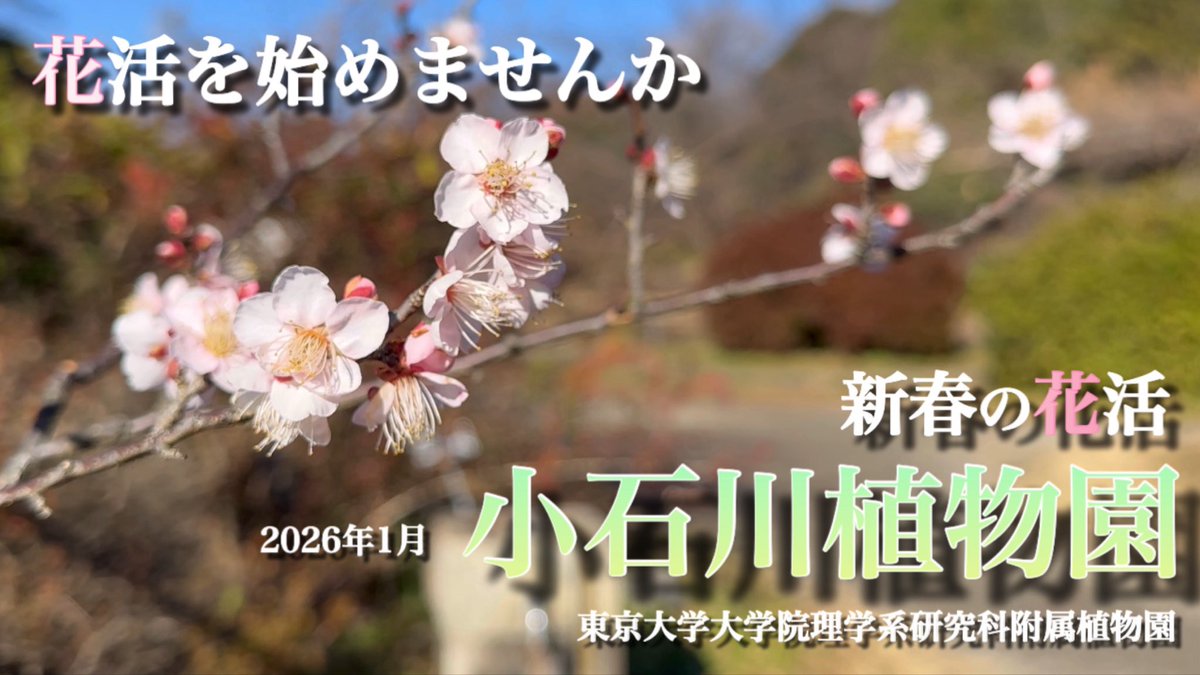 MasA naTureeee tweet media