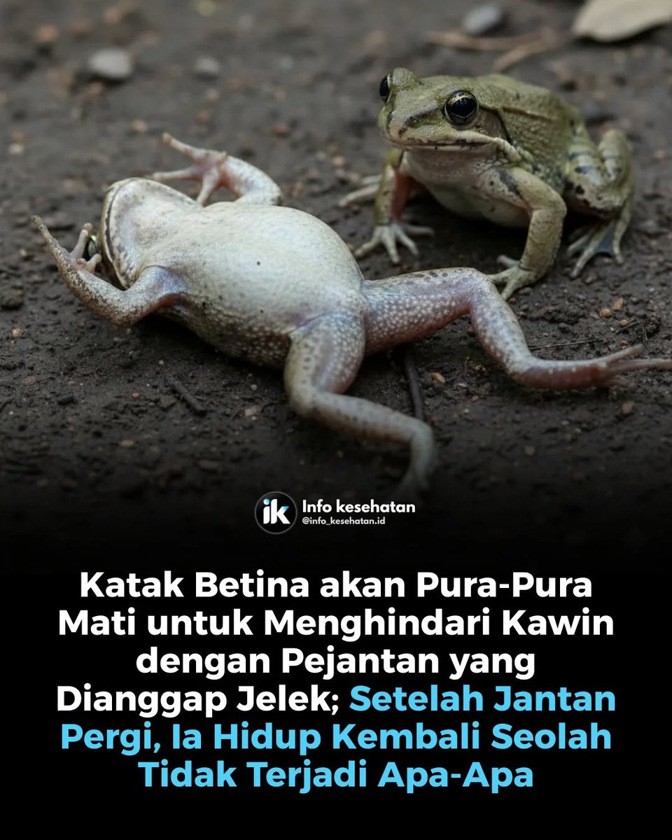 denni_sauya's tweet image. 🤣🤣🤣