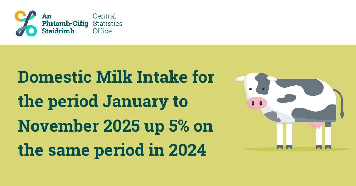 Central Statistics Office Ireland tweet media