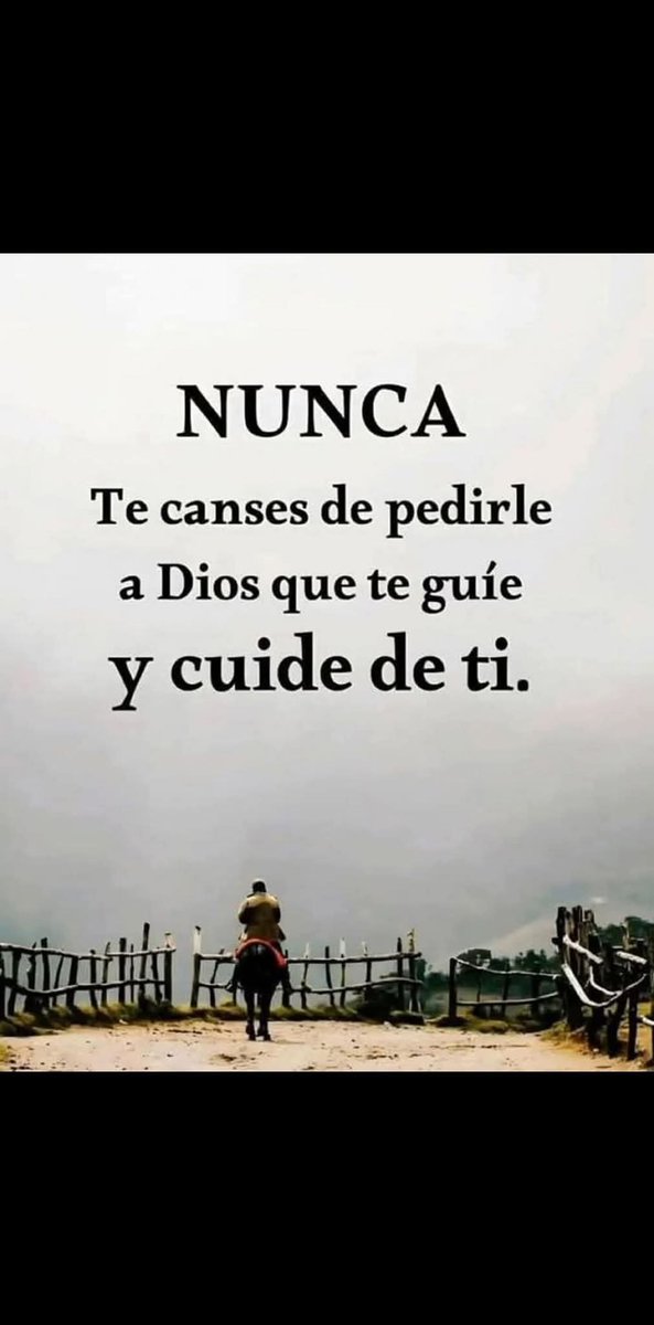 Imperio Estoico. (@imperioestoico) on Twitter photo 