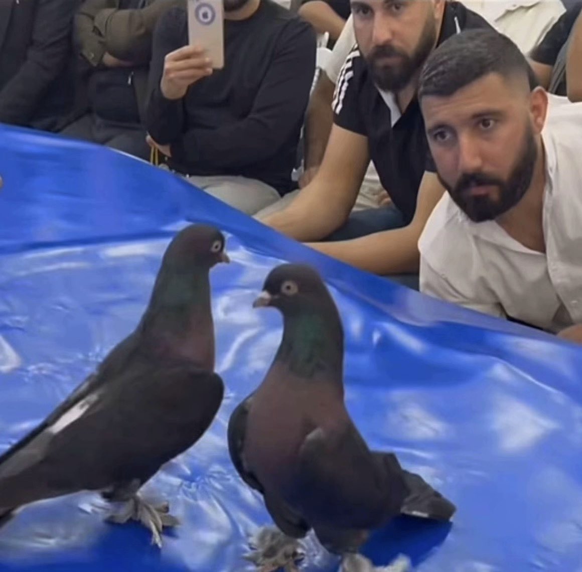 finalde agamla önlü arkalı oturduğumuzu fark eden gözetmenin bize kitleniş