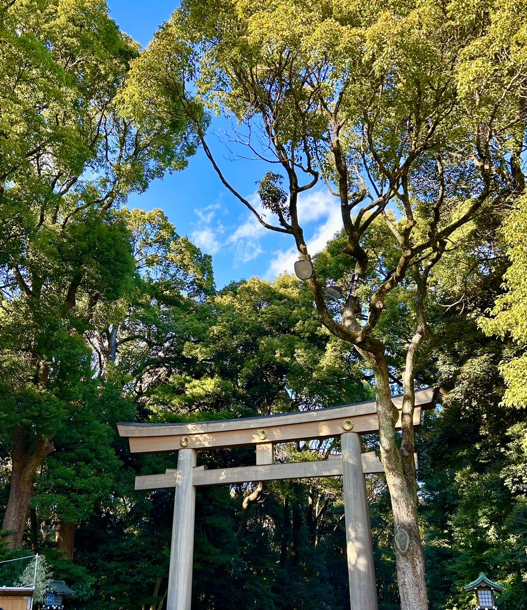 今日から東京🗼まずは明治神宮へ参拝に参ります。