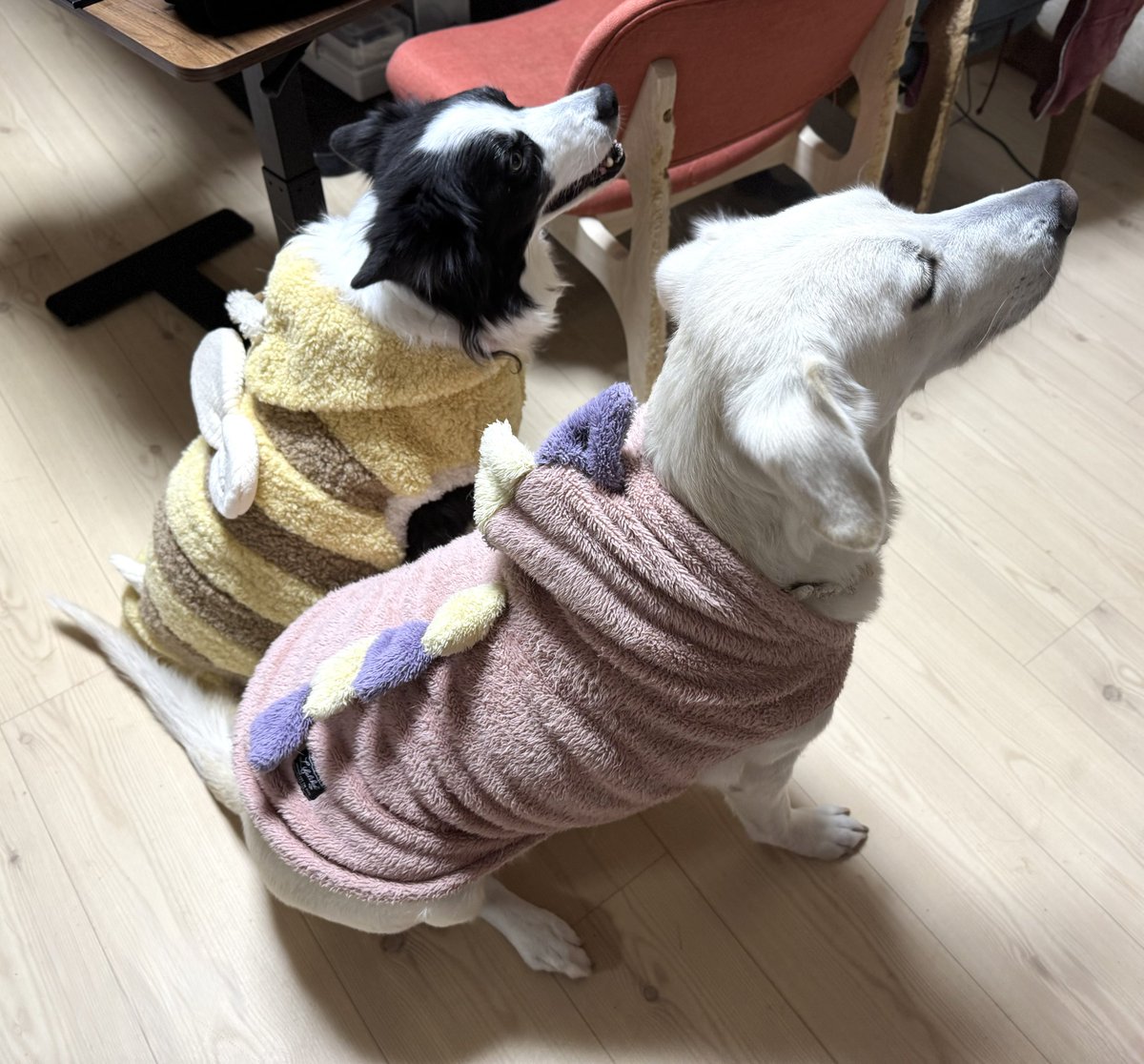 ❤️ハッピー様❤️ スーパーマーケット🛒🛍️✨ ちい、ハチ、カニver🩷🩵💖 こっち