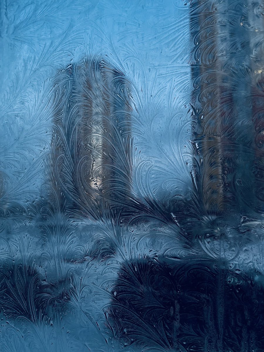 My window decided to grow a garden overnight