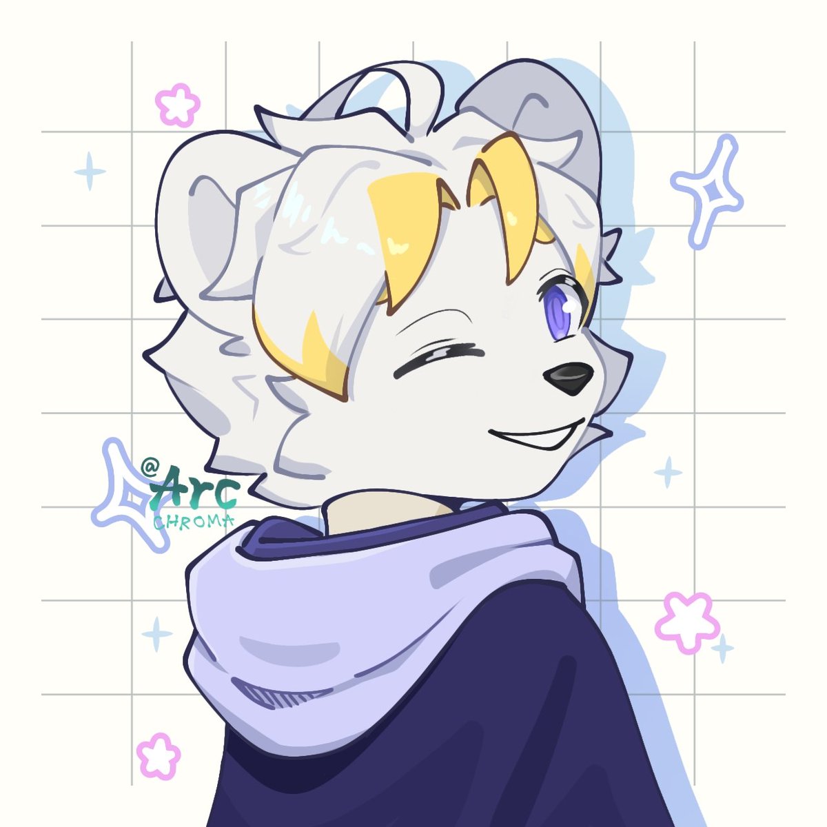 ✨ Arc Chroma ❄ tweet media