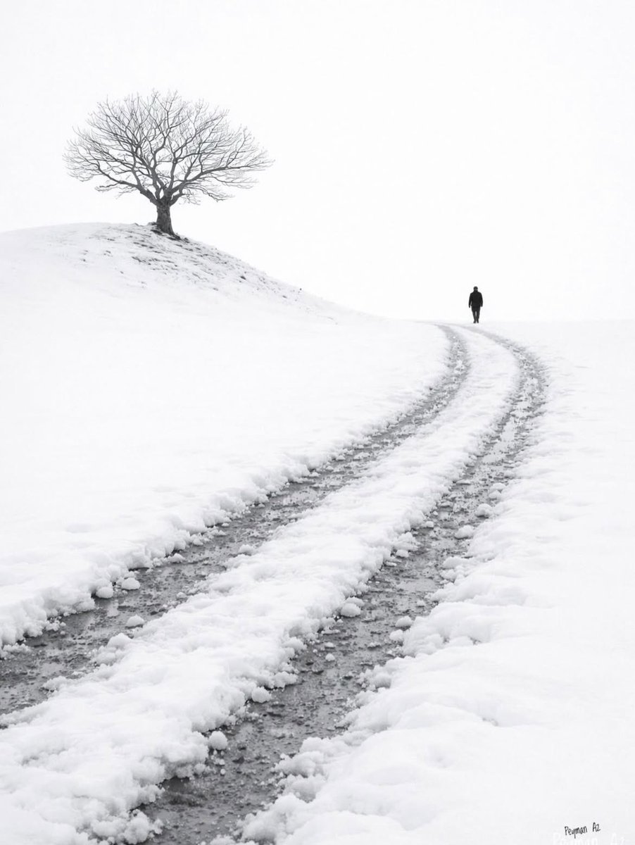 the_gpc_'s tweet image. Winter wonder land 📸
By: peymanaz