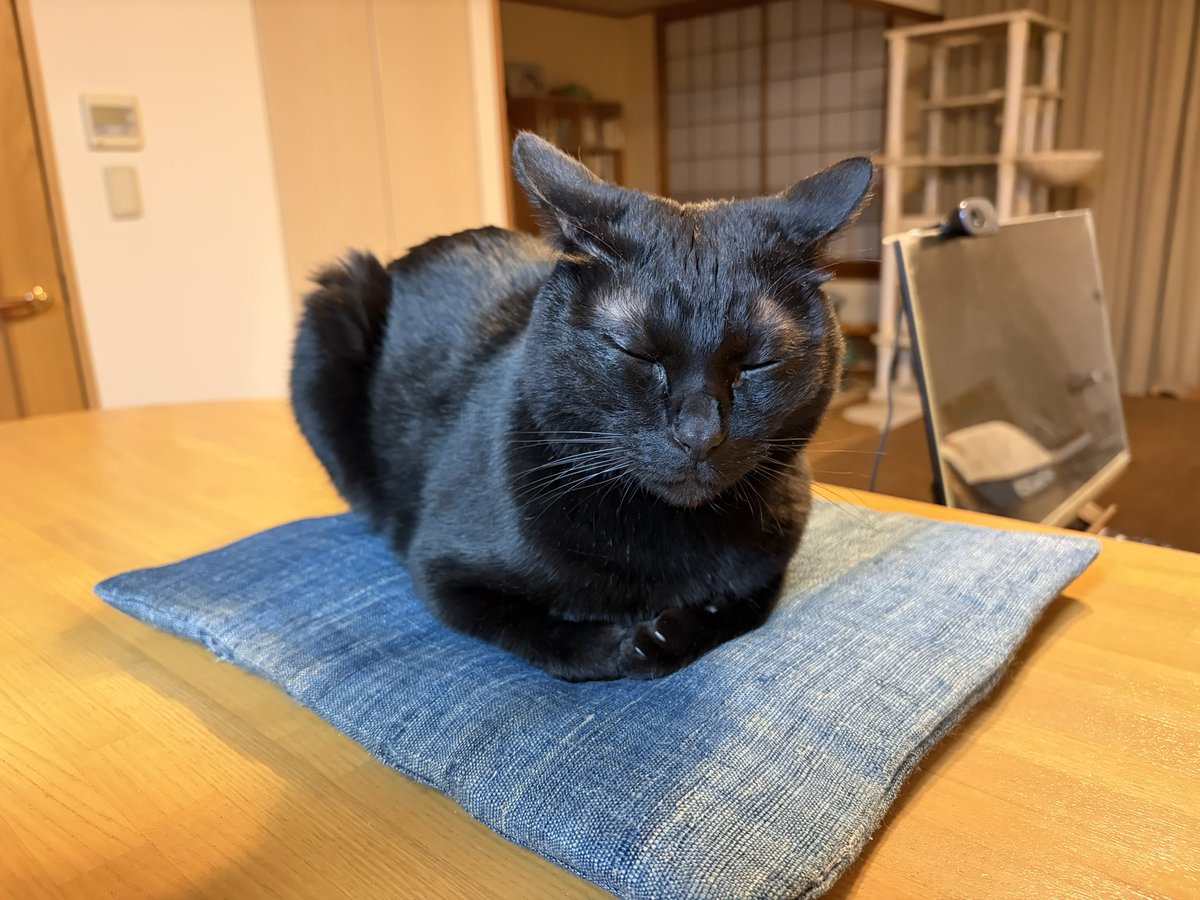 うと。 #黒猫 #保護猫 #猫のいる暮らし