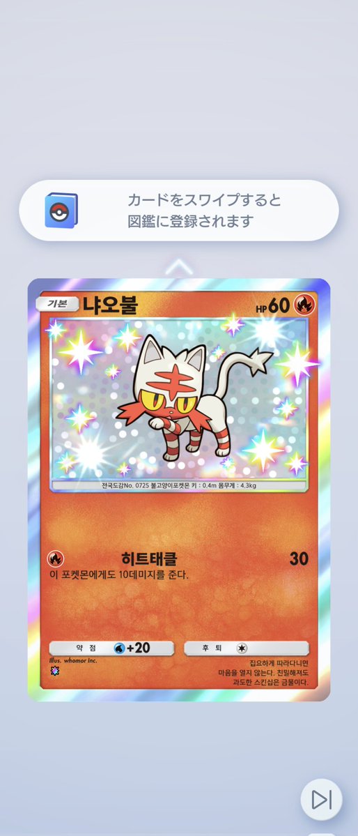 muffler_dev's tweet image. 야옹이 분양 받았어요