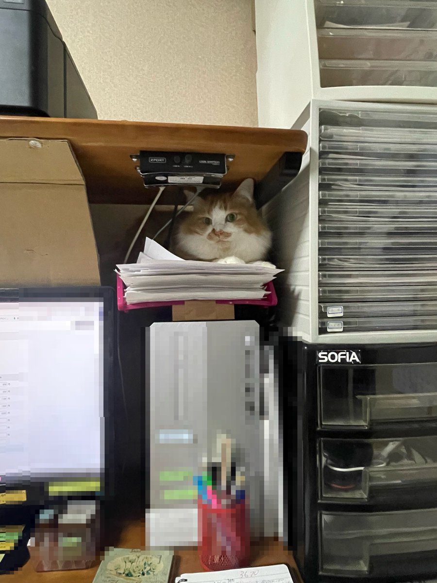 しぃ❤︎꙳✩꙳⋆☃ もう…そんな所に入んないで💢😤