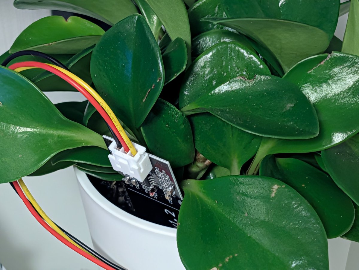 土壌水分センサーは、プログラミング入門者にとてもおすすめです🌱