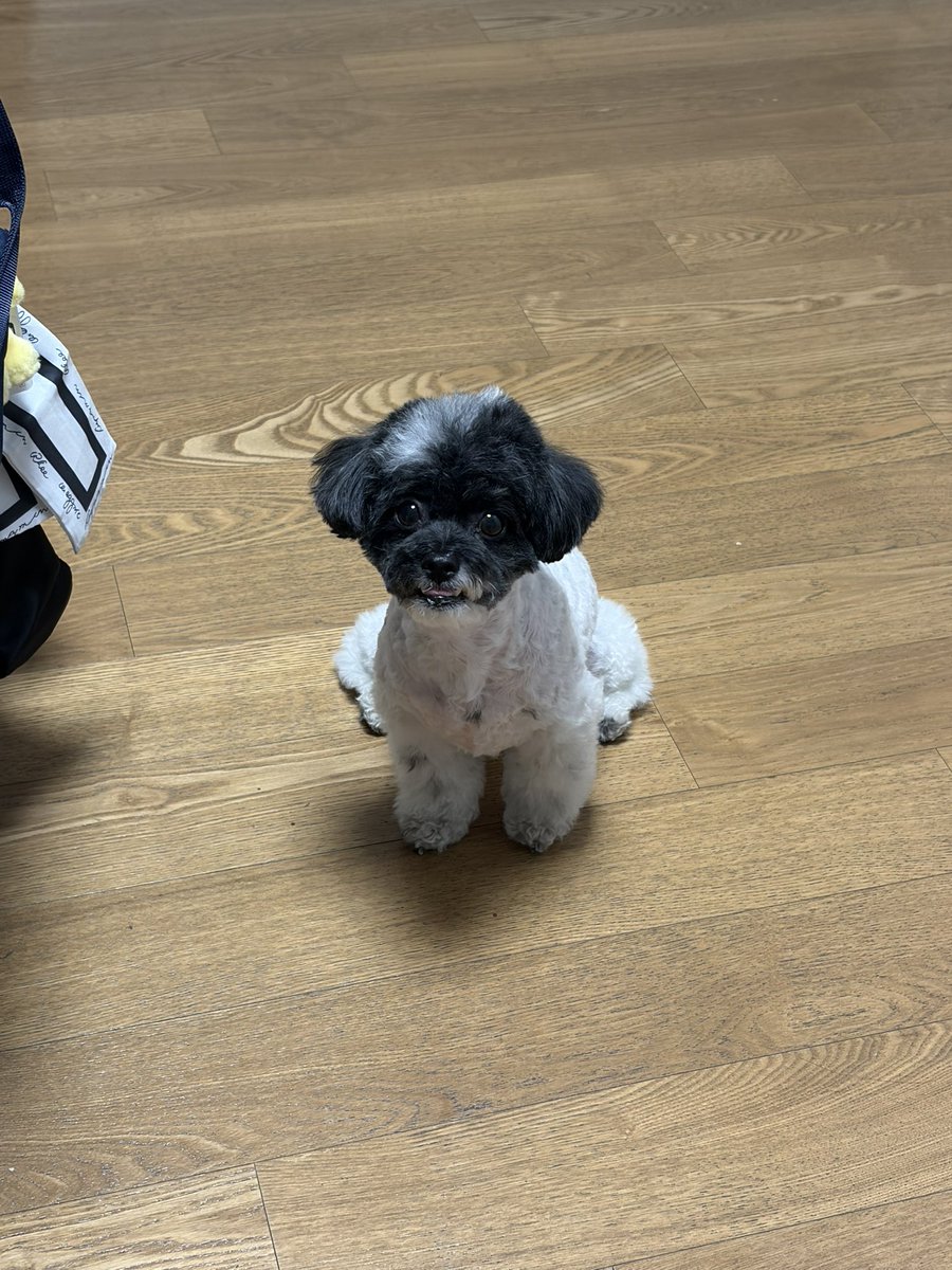 밥먹으려는데 얘가 자꾸 날 이런 표정으로 보고있음