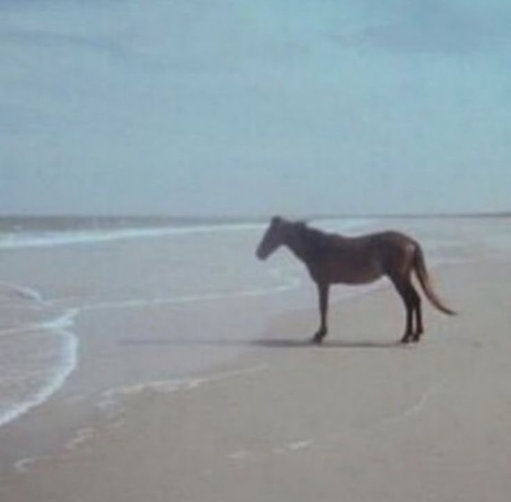 🕸️ gabs غابي ⁴ (@fourlaren) on Twitter photo 