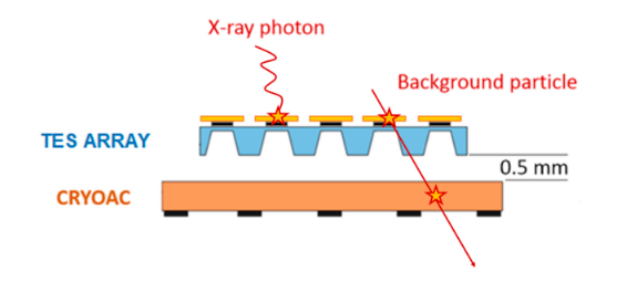 Condensed Matter MDPI tweet media