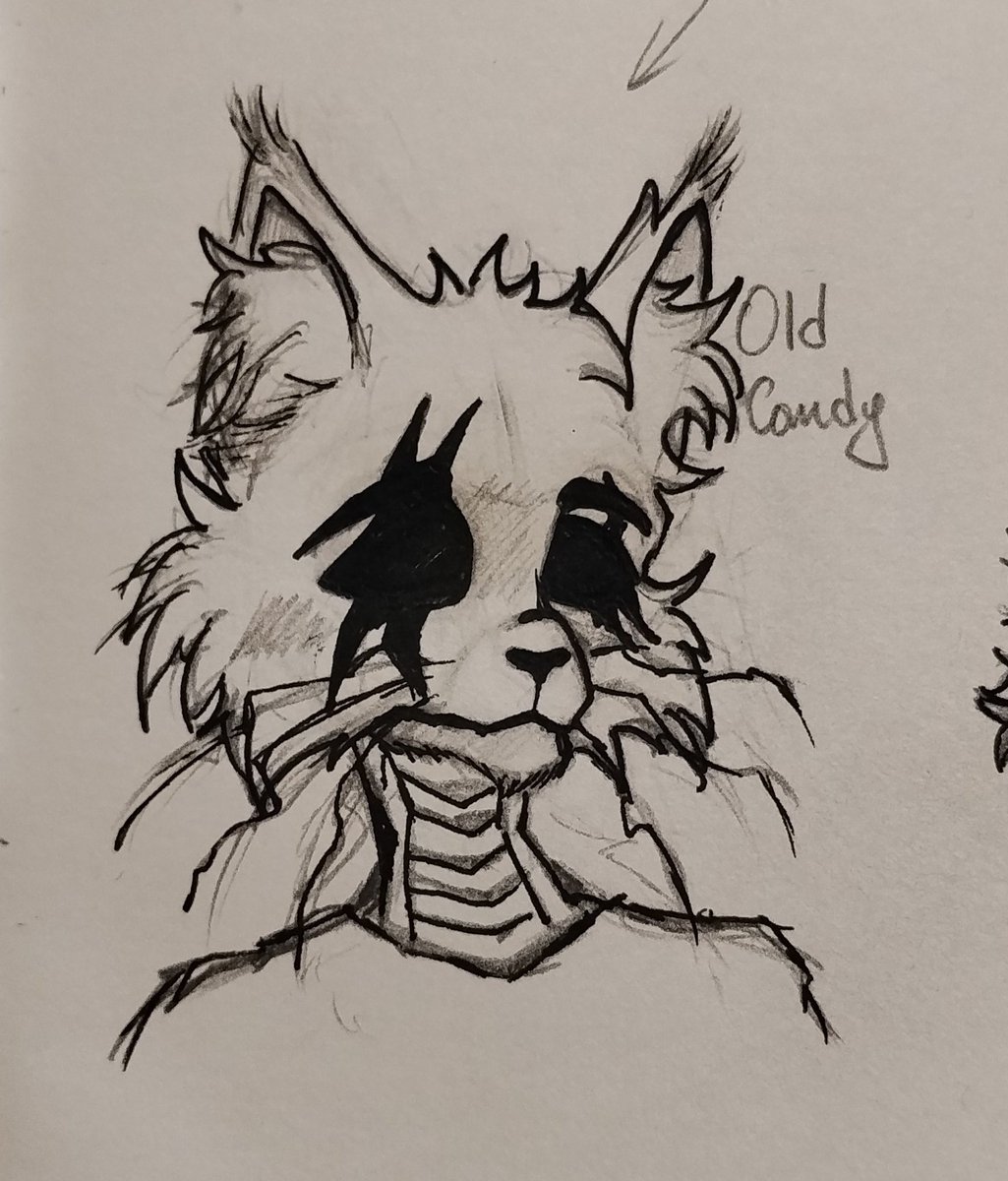 ⭒阴影| 𝐷𝑎𝑛𝑖𝑒𝑙 𝑆𝑜𝑑𝑦𝑎𝑛𝑜𝑣𝑠𝑘𝑦❄️ tweet media