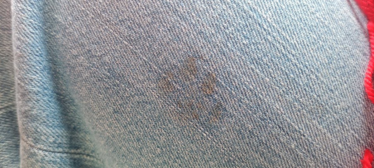 wee Nez! 🇹🇷⚕️💞 tweet media