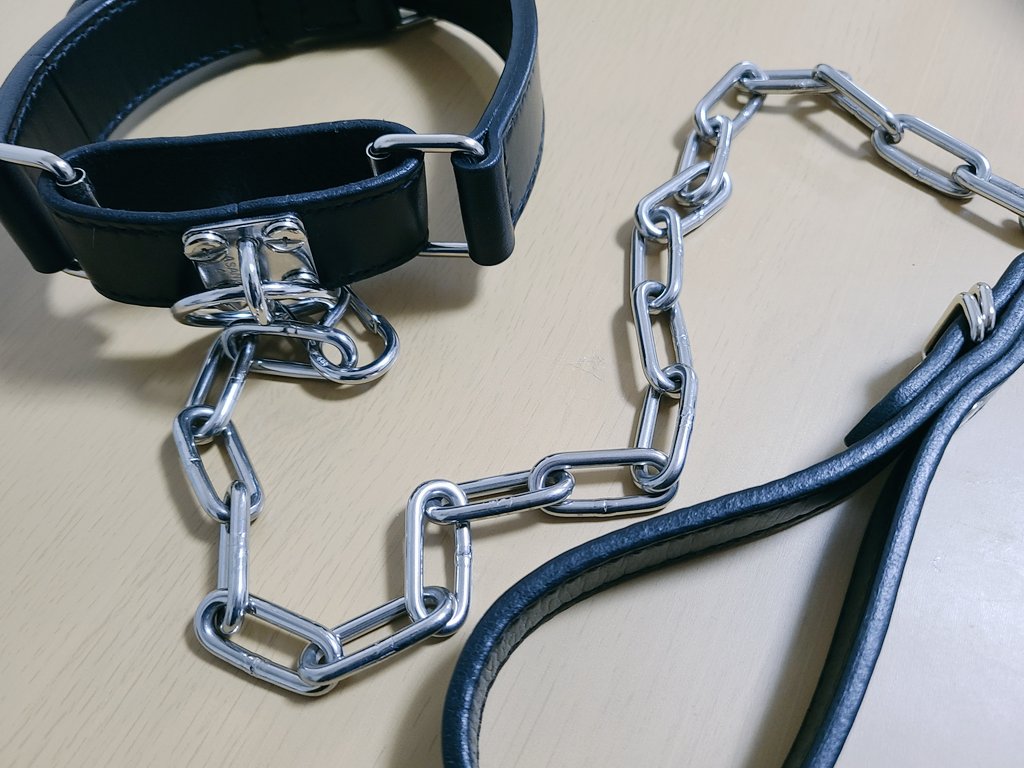 桃太郎様にてオーダーしていた首輪が届きました(ᐡ⸝⸝• ̫ •⸝⸝ᐡ