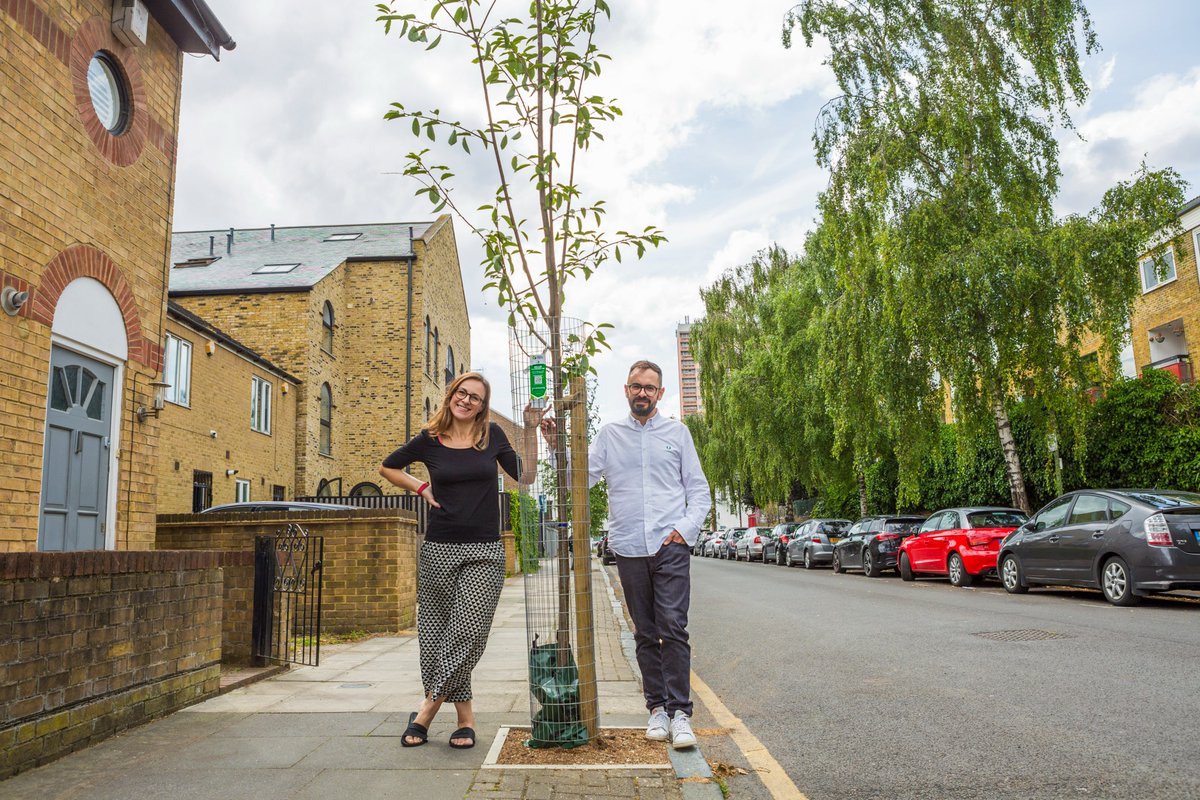 Trees for Streets tweet media