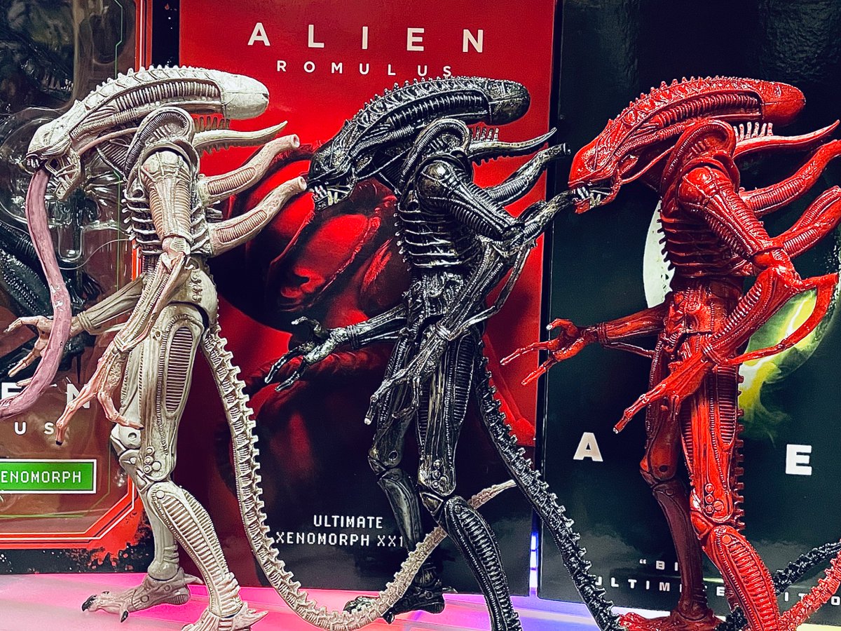 NECAのエイリアン2体増員しました😎👍 ウォーリアーだらけやw でも