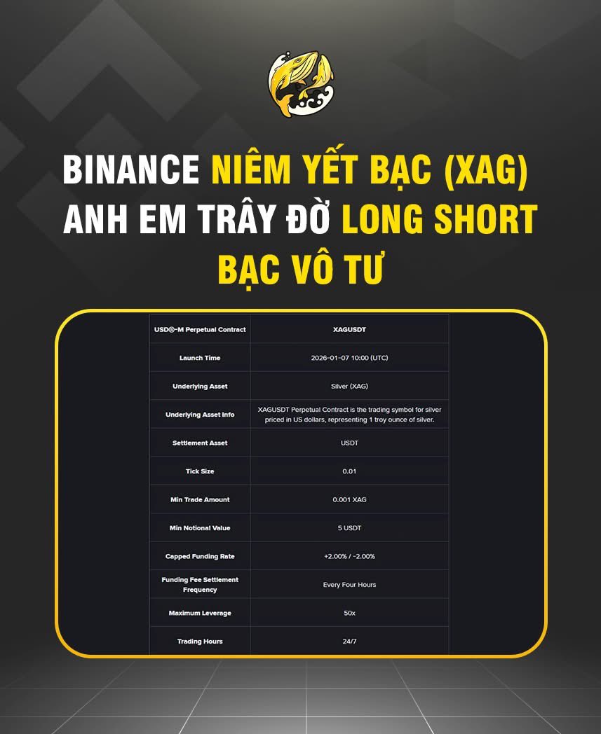 USDT vs BNB trong cá cược.NMk