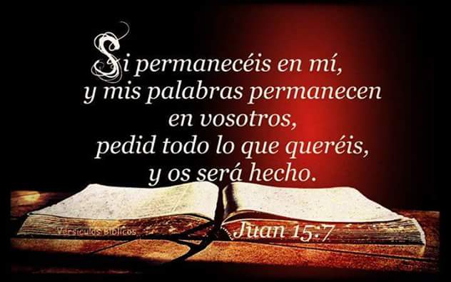 ACaro_Ayala's tweet photo. https://t.co/PunKcsdS2j