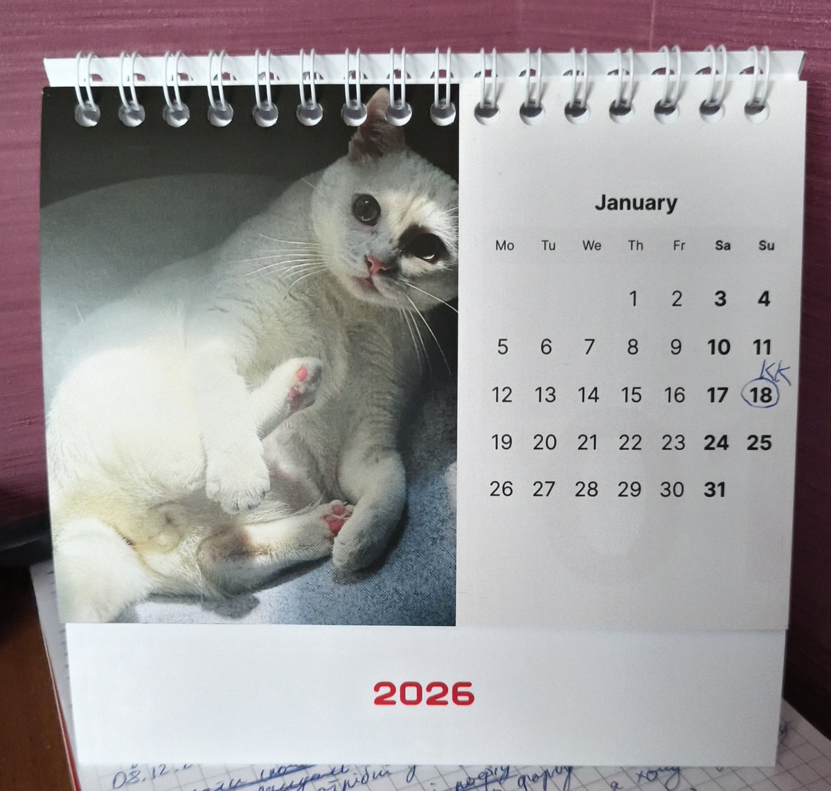 Завдячую подрузі тим, що цілий рік буду спостерігати котячі 🔔🔔
Не спойлерила наступні місяці, тож буду носитиму)