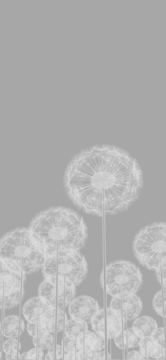 タンポポ様 タンポポ # #blender