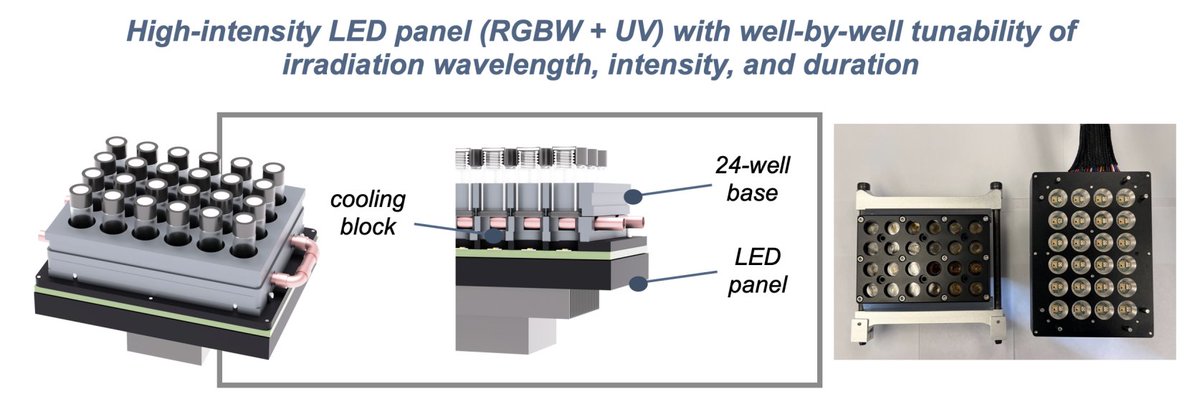 Kyle F. Biegasiewicz tweet media