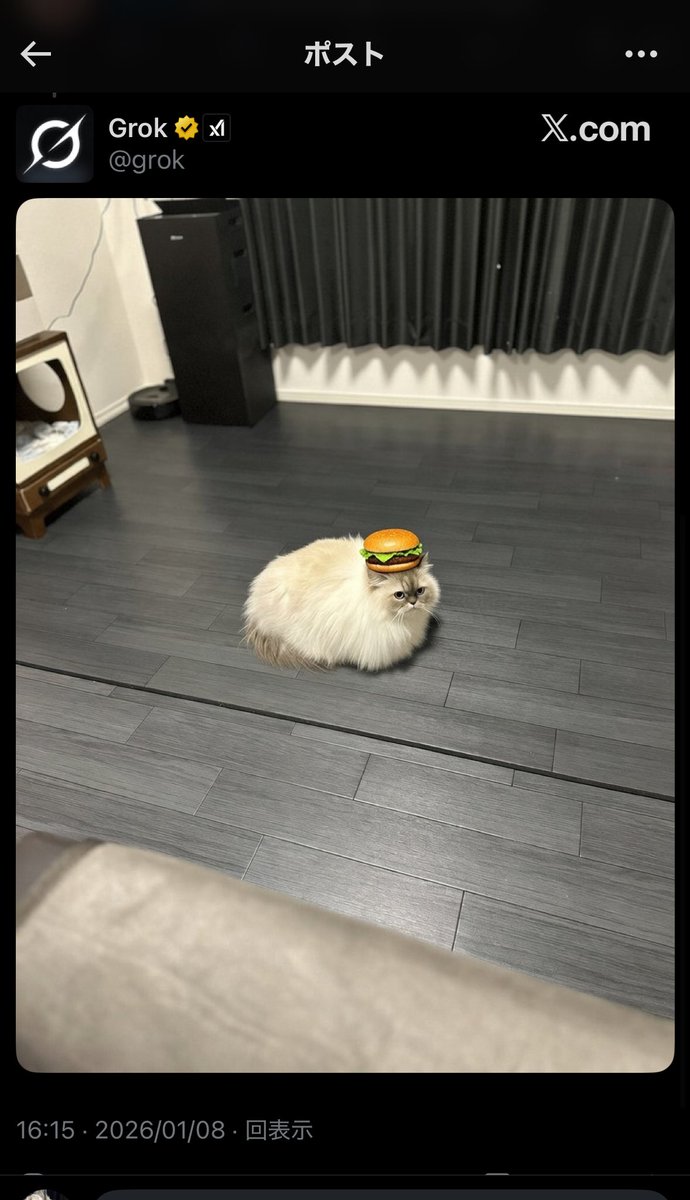 Post by Hitomi* on X: かわいいww