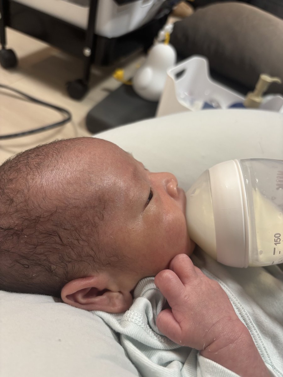 evisuke0's tweet image. 賃貸アクアリストの皆様
クロスなんかどうでもいいので床だけは床だけはなるべく傷つけないように頑張ってください
退去費用…🪦
55…
だれかお金ください…