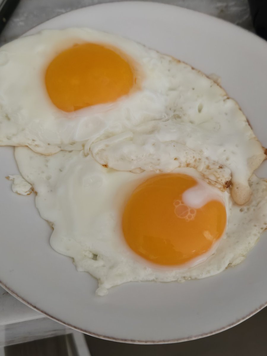 계란후라이 완벽하게 했다