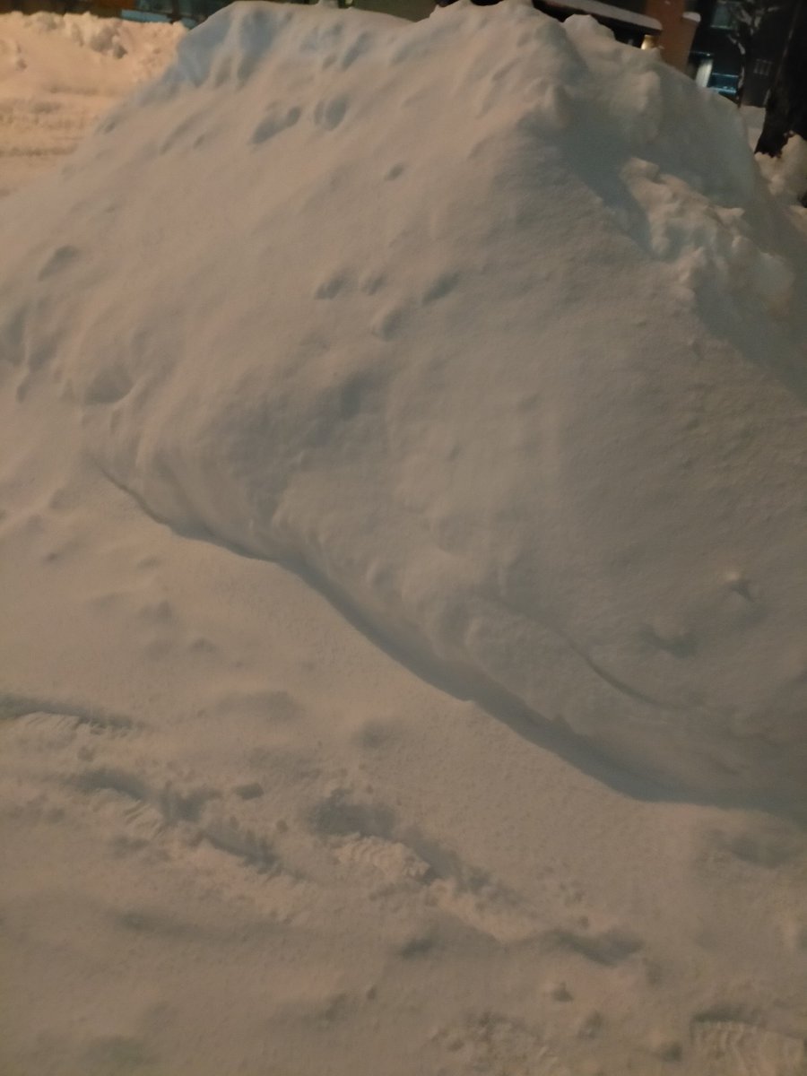 いやぁ～、札幌、雪積もりました(°ω°)