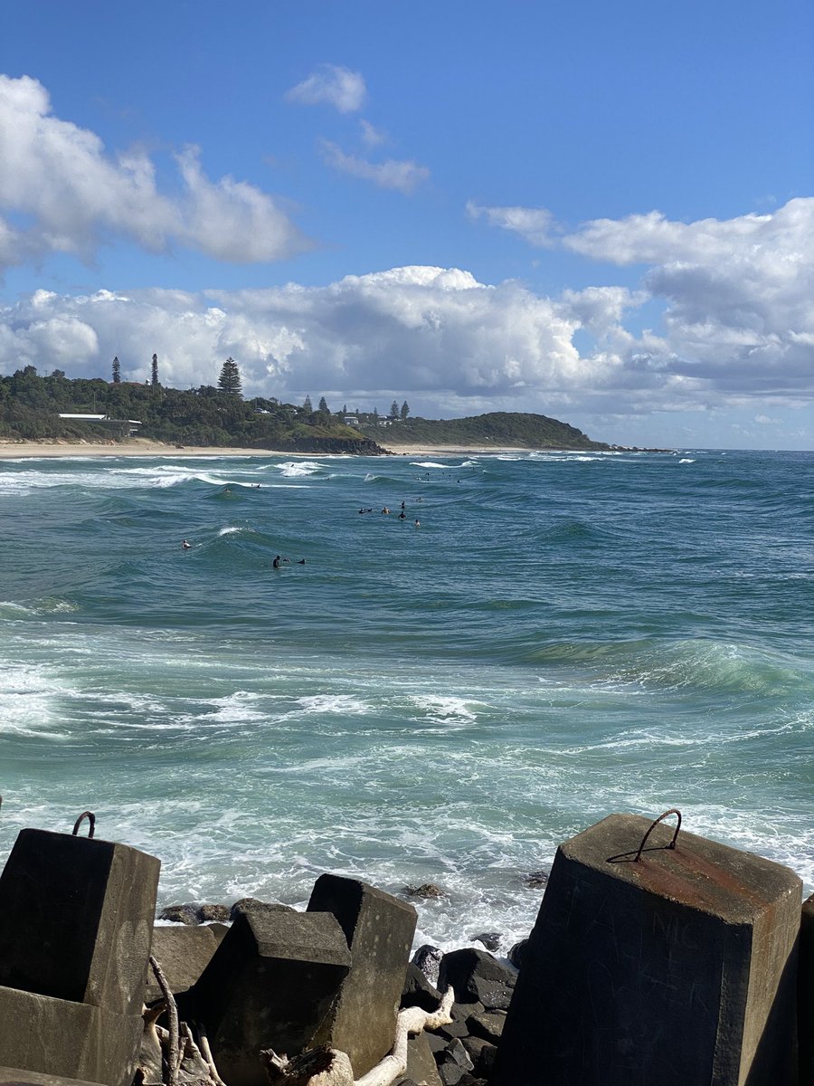 The first 24 hours of 2026 where we got $REKT

Not worries at all. The 4-year cycle is broken and this will be a bullish year.

Have a great day legends 

Gn from Ballina 🇦🇺