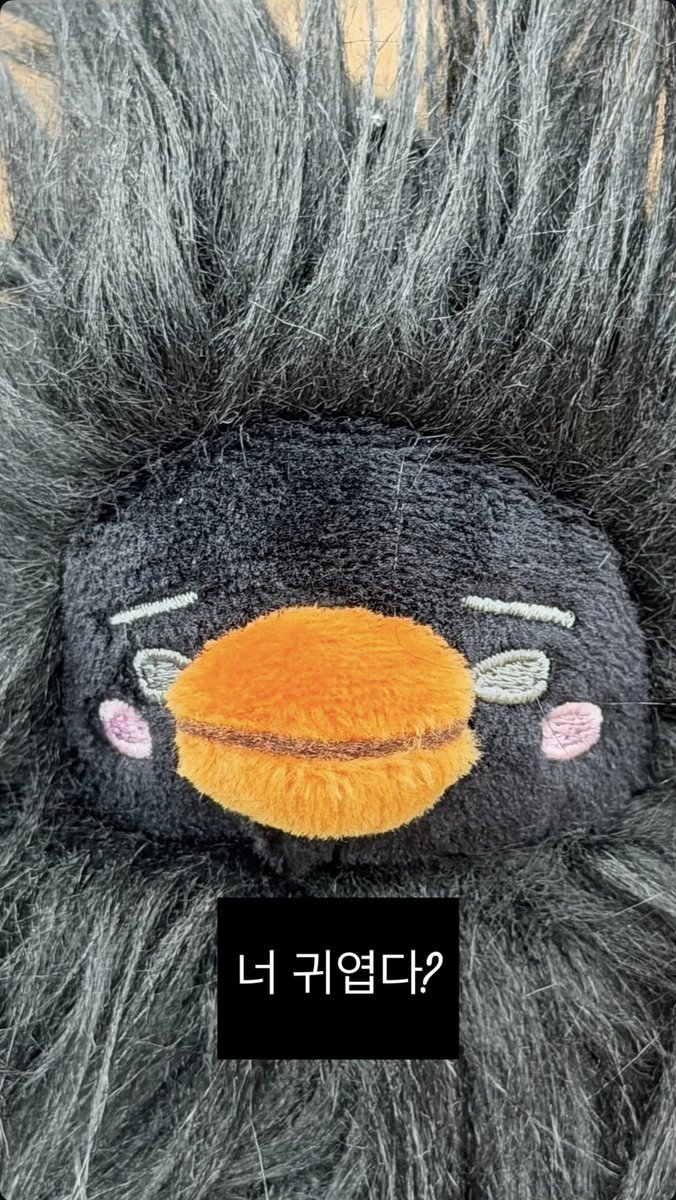 나 지금 
귀여운 바야바펭을 귀여워하는 귀여운 이준호를 귀여워하고 있어