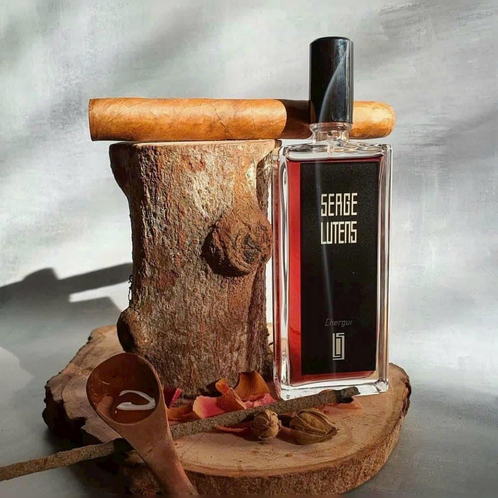 ابو عبدالرحمن العجمي tweet media