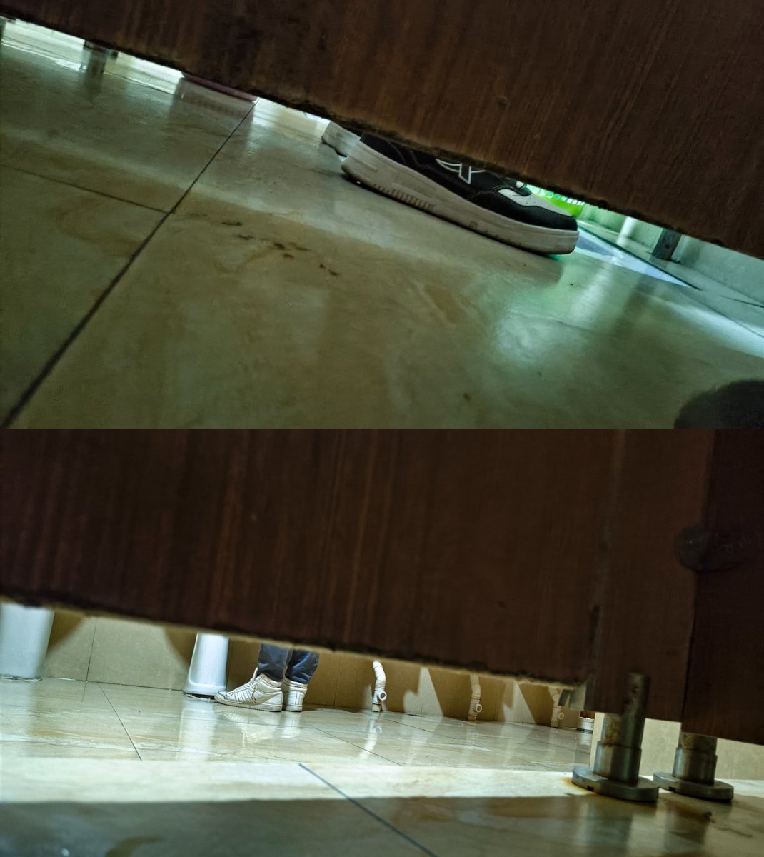 椰子树 tweet media