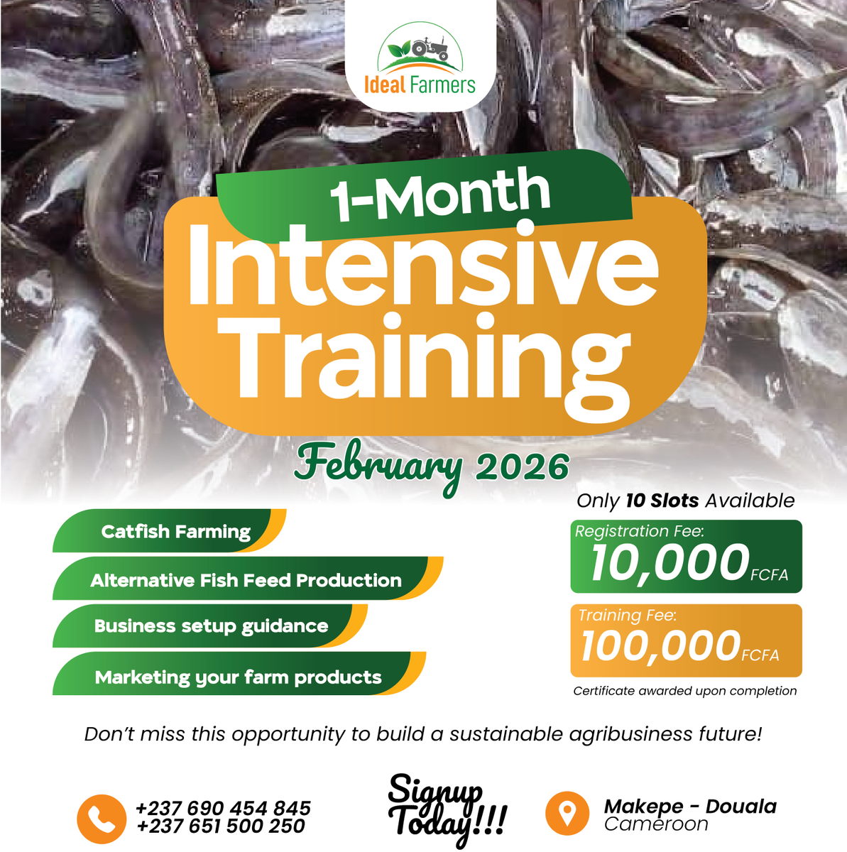 ideal_farmers's tweet photo. 1-Month Intensive Training Coming up with February!

Our first training in 2026 will focus on Catfish Farming and how you can maximise profit with alternative fish feed production, setting up and marketing your produce. 

Leave us a message today!
#training #fishfarming #Cameroon https://t.co/yesUAdddBG