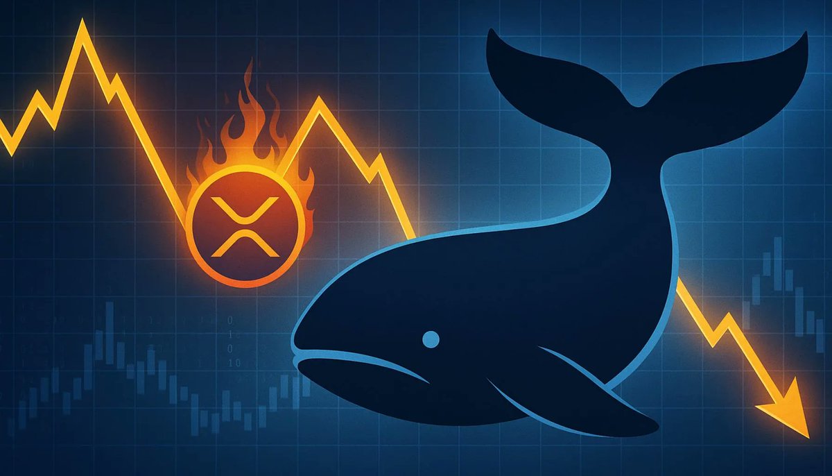 🚨XRP Whale Alert!🚨 XRP whale activity hit a 3-month high yesterday: 2,802  transactions over $100K! This massive surge signals potential big  volatility ahead. 👀 #XRP #XRPArmy #Crypto #Ripple #WhaleActivity
