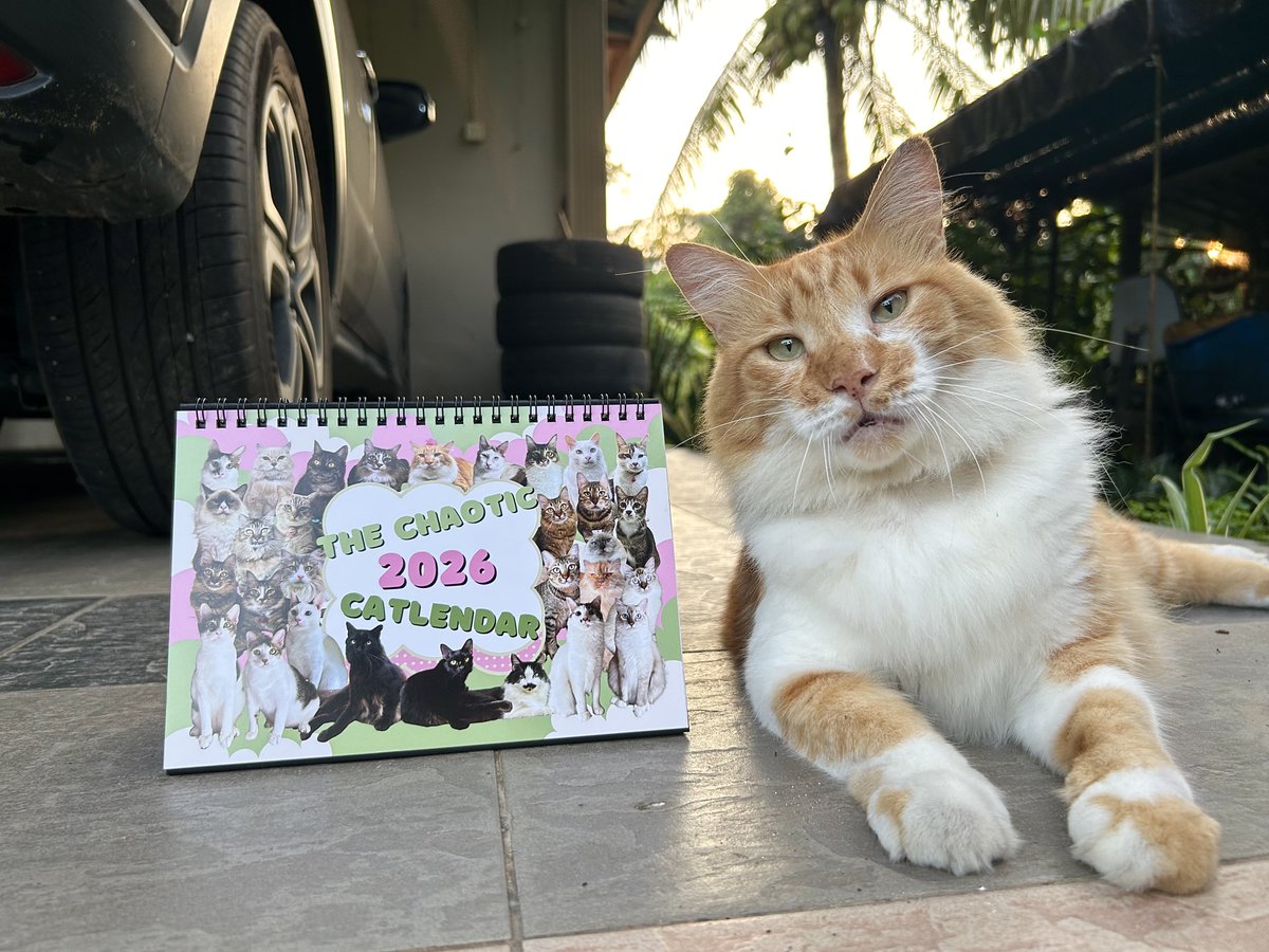 yemmeow's tweet photo. Tahun 2026 ni tahun strawberry matcha, kalendar pun kena la ikut tema 🍓🍵juga hihi. 
Boleh tak tolong spread tweet ini. Saya jual kalendar kucing sebab nak buat rumah kucing! https://t.co/JNht7vH4ce