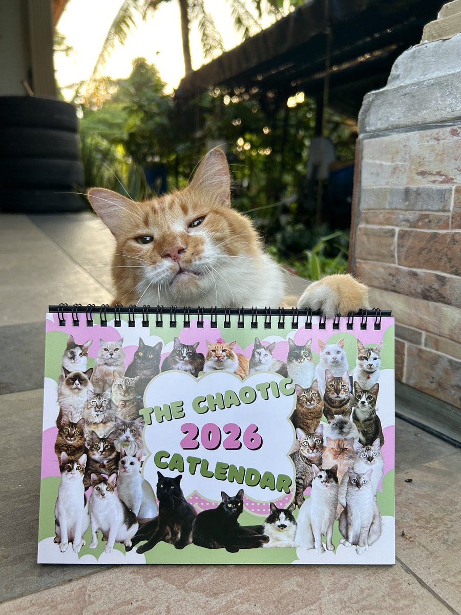 yemmeow's tweet photo. Tahun 2026 ni tahun strawberry matcha, kalendar pun kena la ikut tema 🍓🍵juga hihi. 
Boleh tak tolong spread tweet ini. Saya jual kalendar kucing sebab nak buat rumah kucing! https://t.co/JNht7vH4ce