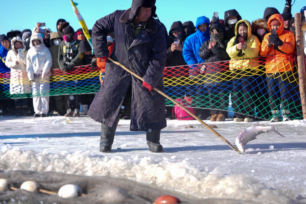 FlyOverChina's tweet image. Chagan Lake's #icefishing, a national intangible cultural heritage, has become a significant symbol of ice and snow culture in northeast China. 🐟
📸 Yan Linyun
#winter #flyoverchina