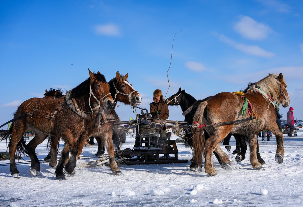 FlyOverChina's tweet image. Chagan Lake's #icefishing, a national intangible cultural heritage, has become a significant symbol of ice and snow culture in northeast China. 🐟
📸 Yan Linyun
#winter #flyoverchina