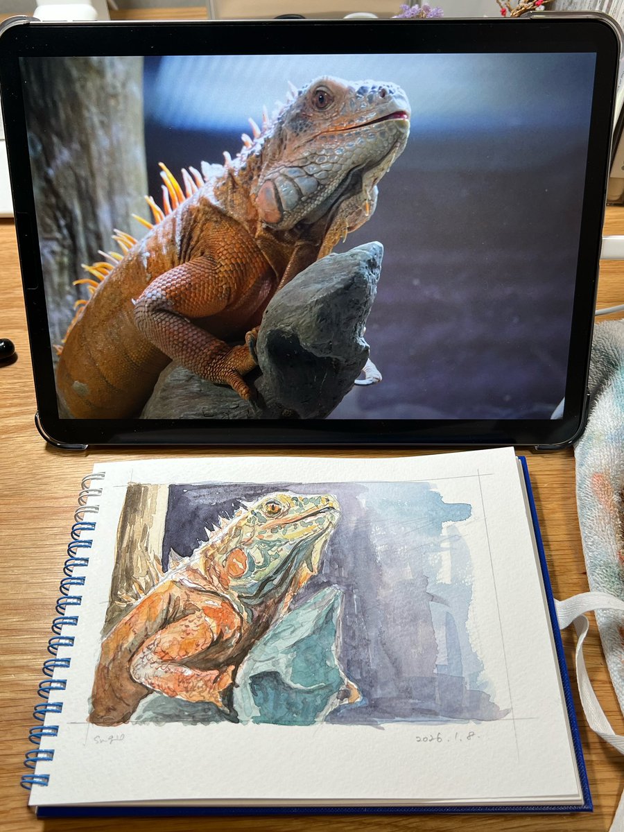 Post by 杉江慎介 on X: イグアナ（水彩）