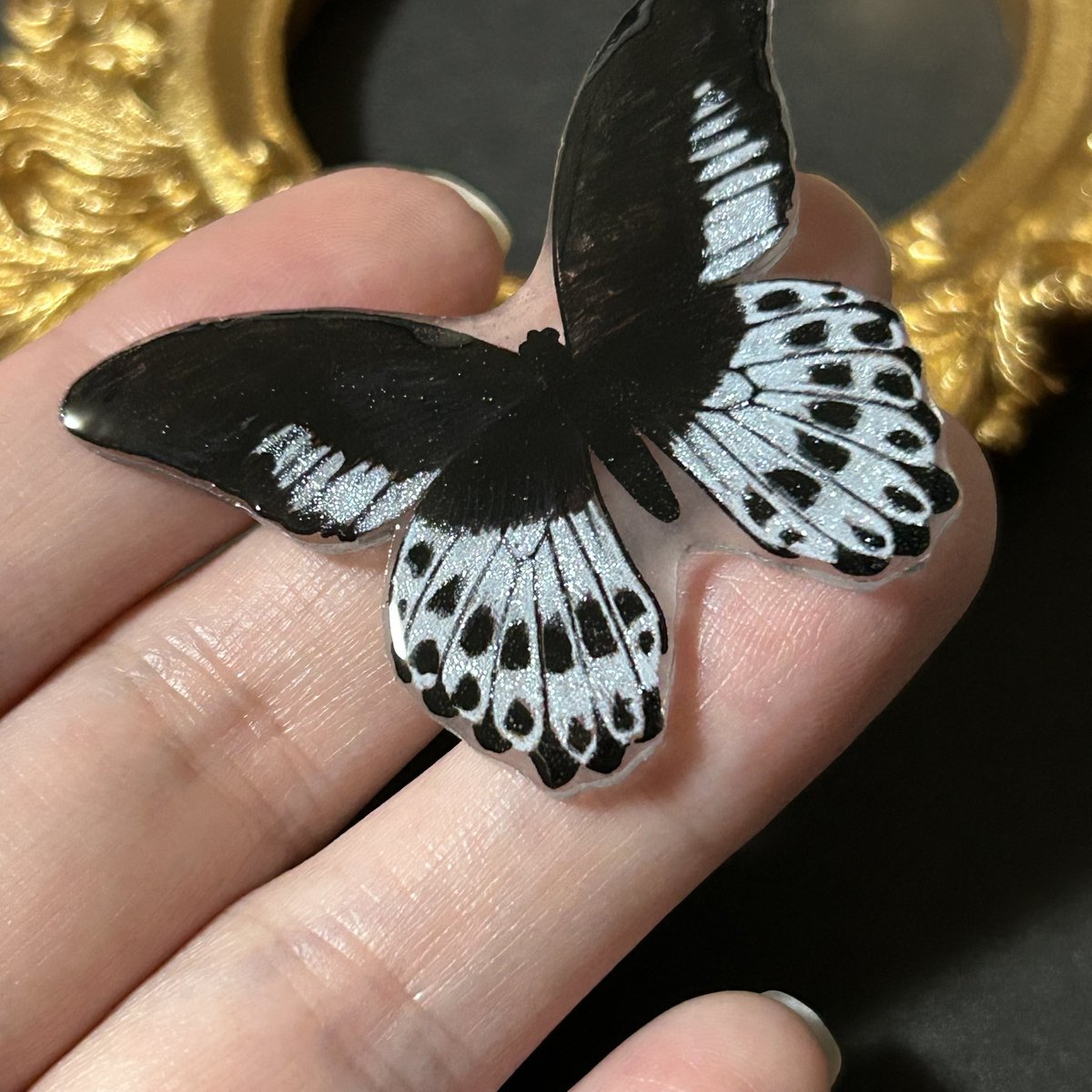 テンジクアゲハも準備できたら再販しますね✨ キラキラーです✨