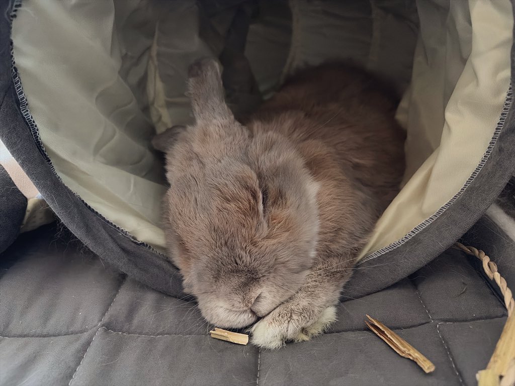 유독 겨울에 잠이 많은 애